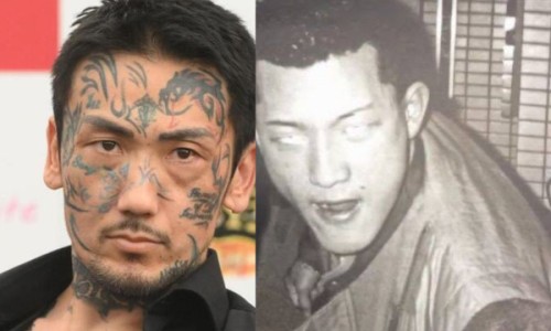 银杏叶提取物功效网 :分享银杏叶提取物功效详解-银杏叶提取物功效与副作用知识
